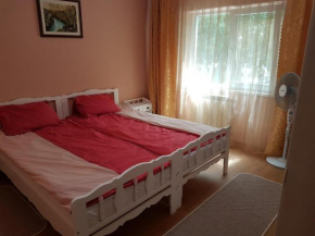 Apartament Aura